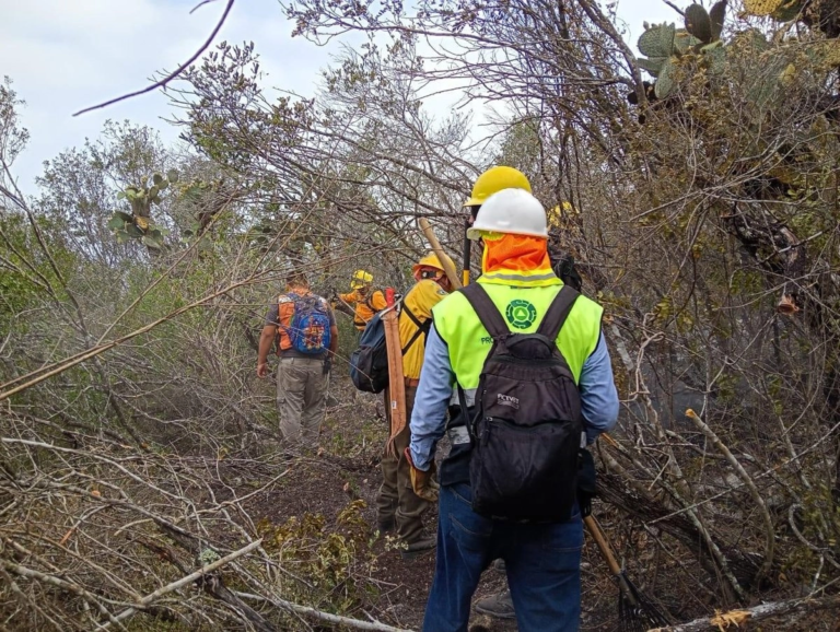 proteccion-civil-de-slp-vincula-ola-de-calor-con-el-repunte-de-siniestros-forestales_e93edcce-6123-49db-9f37-4395db1befbe_medialjnimgndimage=fullsize