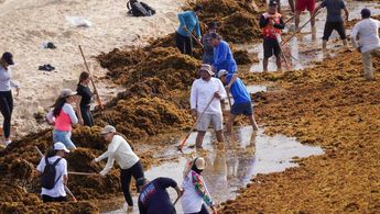 estrategia cientifica incluye biorefinerias monitoreo 0 21 1200 758