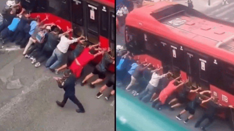 usuarios empujam metrobus varado por manifestacion