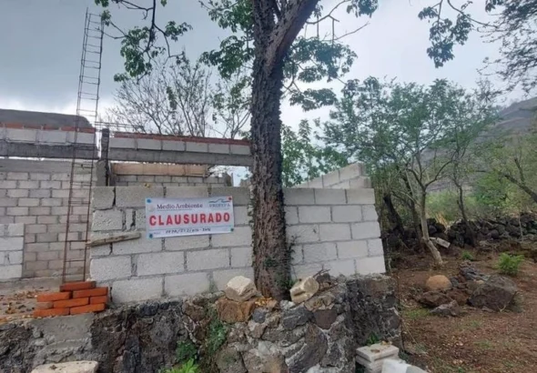 morelos clausuran construcciones irregulares alrededor de refugio de murcielago magueyero en el tepozteco 03158551 faba 4238 863e 6baa3c5d379d medialjnimgndimage=fullsize