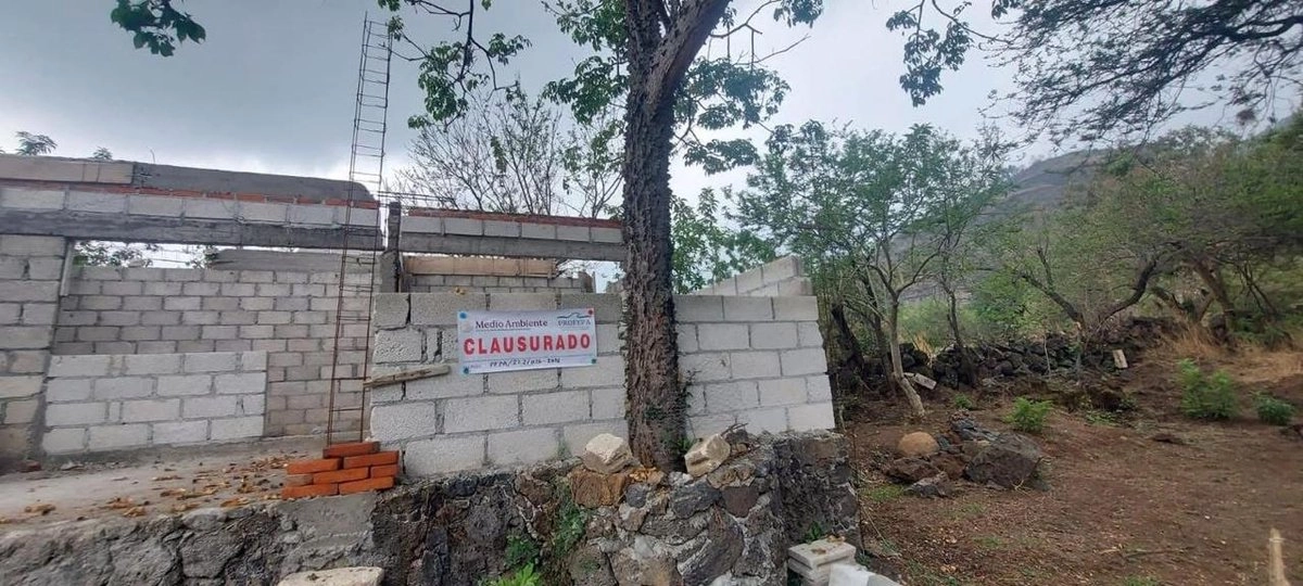 morelos clausuran construcciones irregulares alrededor de refugio de murcielago magueyero en el tepozteco 03158551 faba 4238 863e 6baa3c5d379d medialjnimgndimage=fullsize