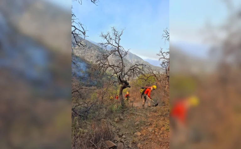 sonora incendio forestal consume mil 500 hectareas en la sierra de arivechi 6a7208c2 ec13 4fd7 bdd9 4d50eb959f77 medialjnimgndimage=fullsize