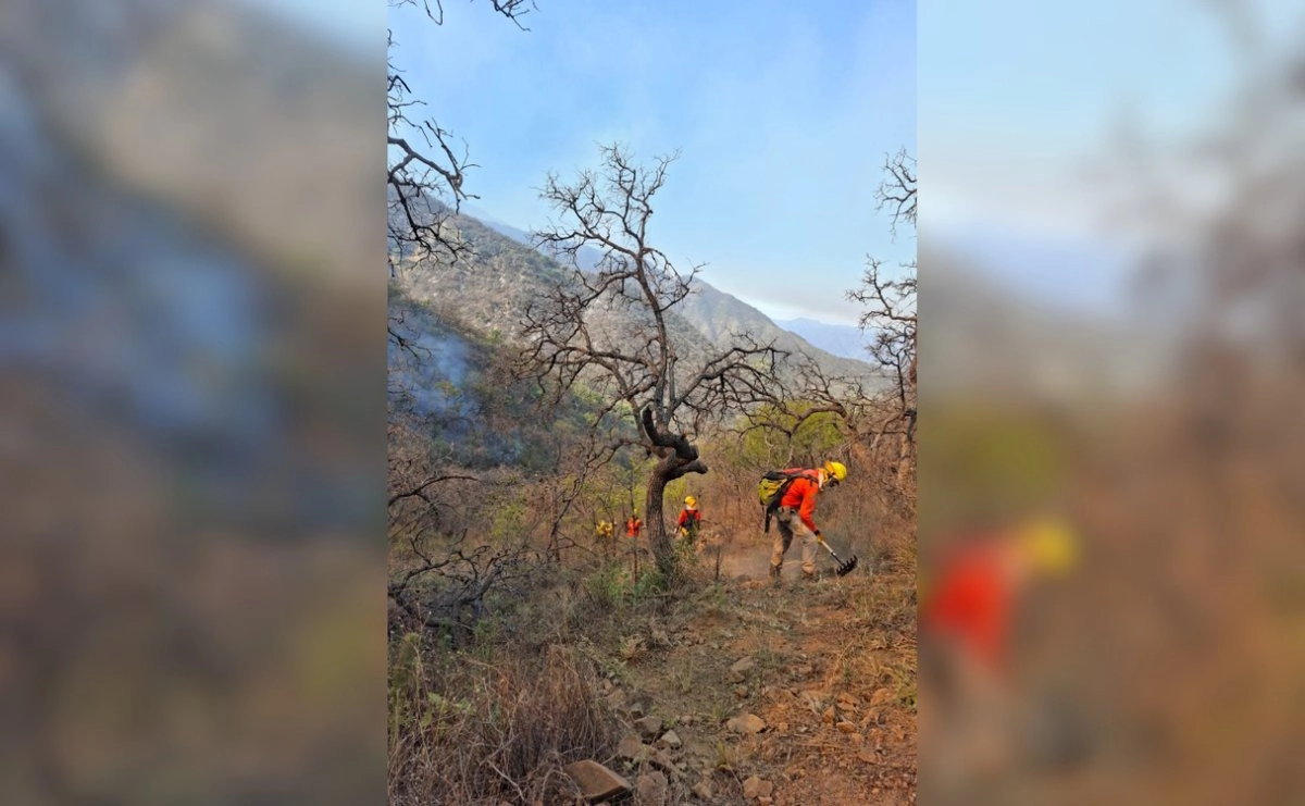 sonora incendio forestal consume mil 500 hectareas en la sierra de arivechi 6a7208c2 ec13 4fd7 bdd9 4d50eb959f77 medialjnimgndimage=fullsize
