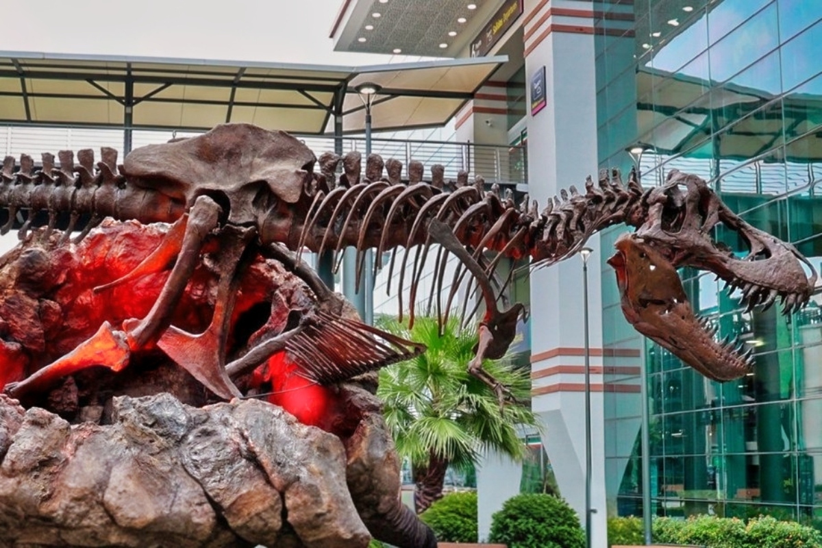 dino aifa