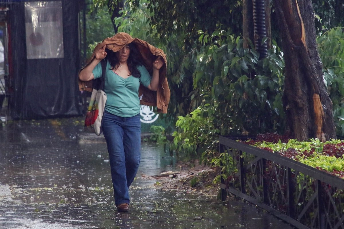 se mantienen protocolos preventivos y de atencion en 12 estados por persistencia de lluvias fuertes proteccion civil fbed076b fbb8 43f1 828a 283046d9874a medialjnimgndimage=fullsize