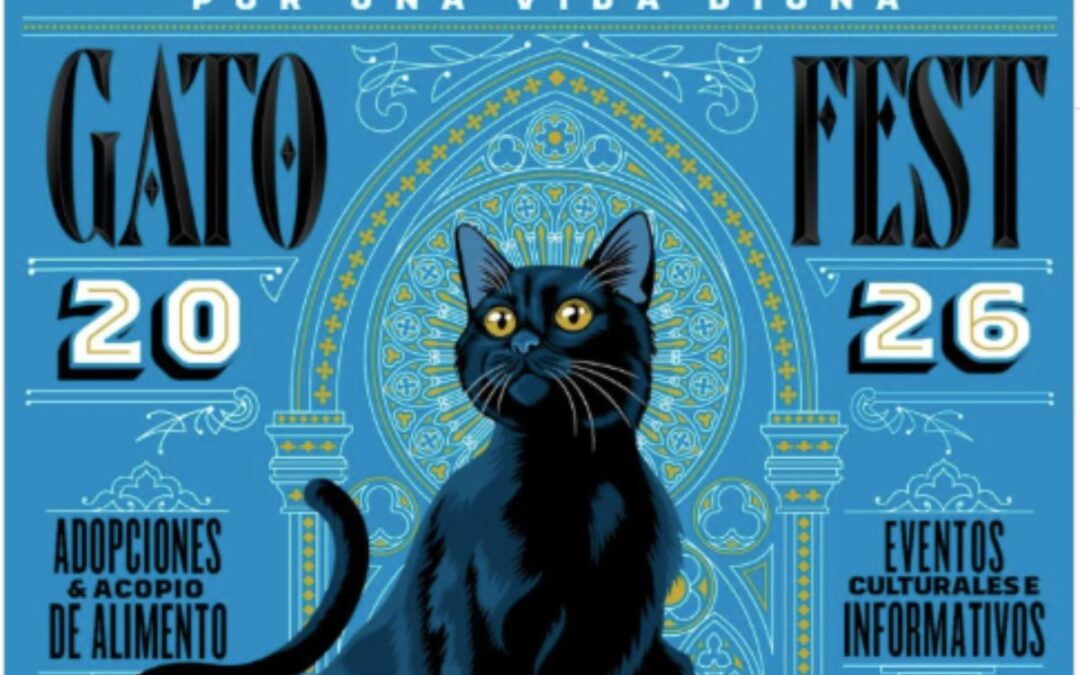 gato fest 2026 ya tiene fecha y sede asi buscan ayudar a miles de gatos rescatados en cdmx 1080x675