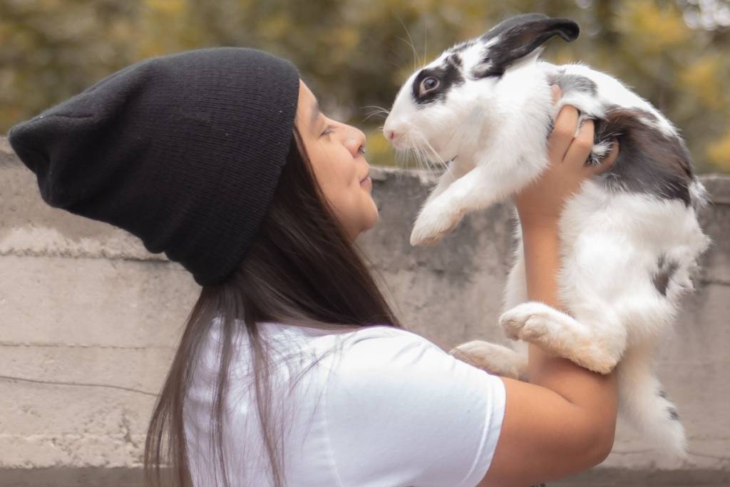 conejo 1024x683