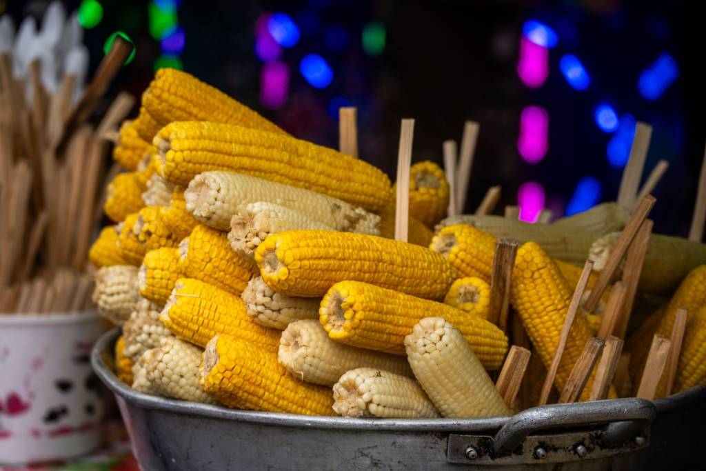 feria nacional elote 2026 1024x683