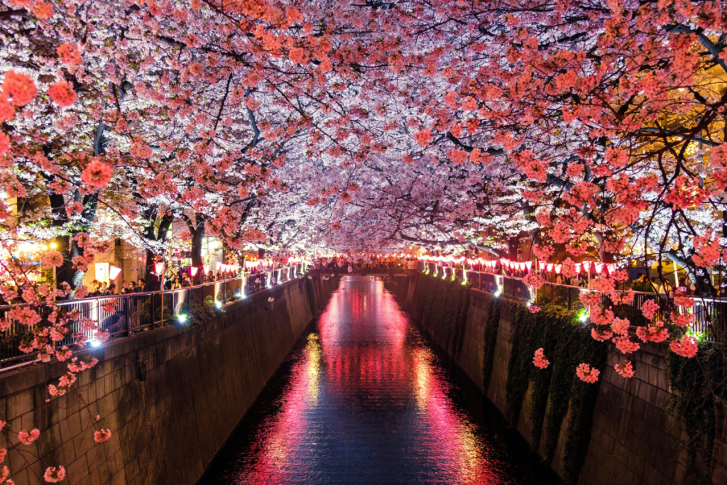 mes de japon 2 1024x683